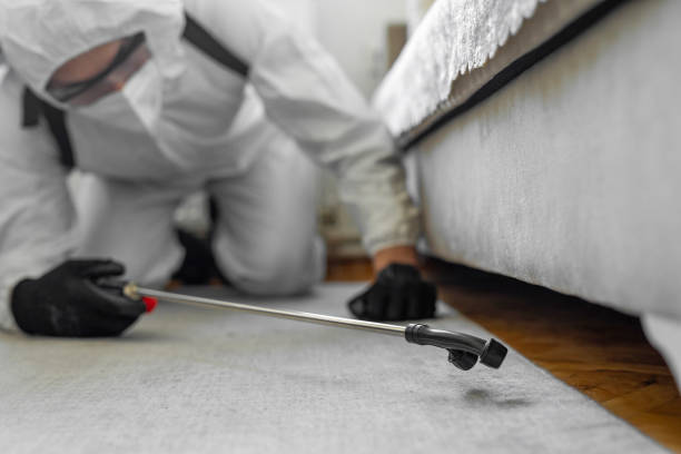 Professional Bed Bug Control technician working in George West, TX