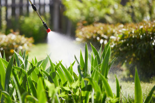24/7 Emergency Bed Bug Control experts in George West, TX