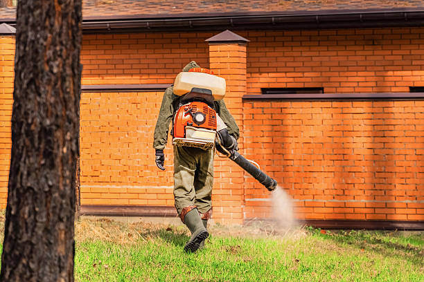 Trusted Mosquito Control service in George West, TX - Nex Pest Control